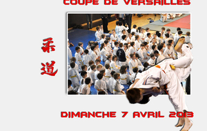 JUDO COUPE DE VERSAILLES Dimanche 7 Avril 2013